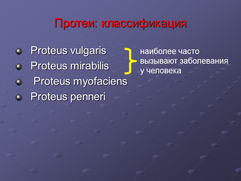 Протеи: классификация Proteus vulgaris Proteus mirabilis  Proteus myofaciens Proteus penneri наиболее часто вызывают